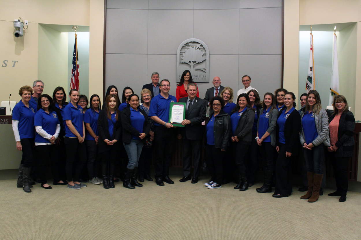 Country Springs Elementary Blue Ribbon School